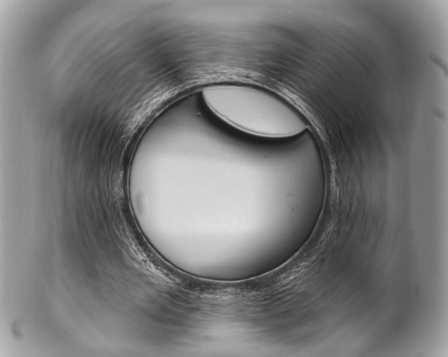 X0000101420485200807071035