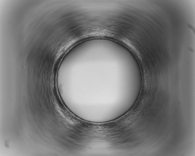X0000101420486200807071034