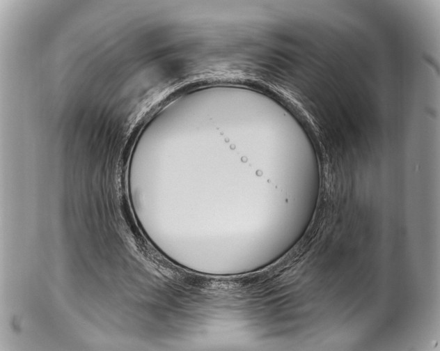 X0000101420487200807071034