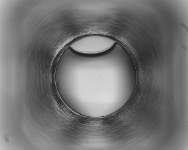 X0000101420488200807071034