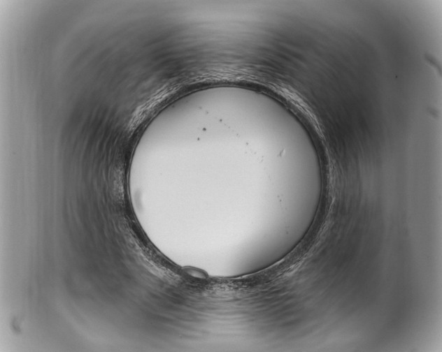 X0000101420489200807071034