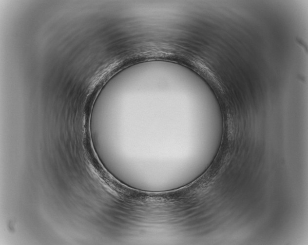X0000101420490200807071034