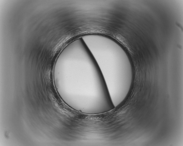X0000101420491200807071034