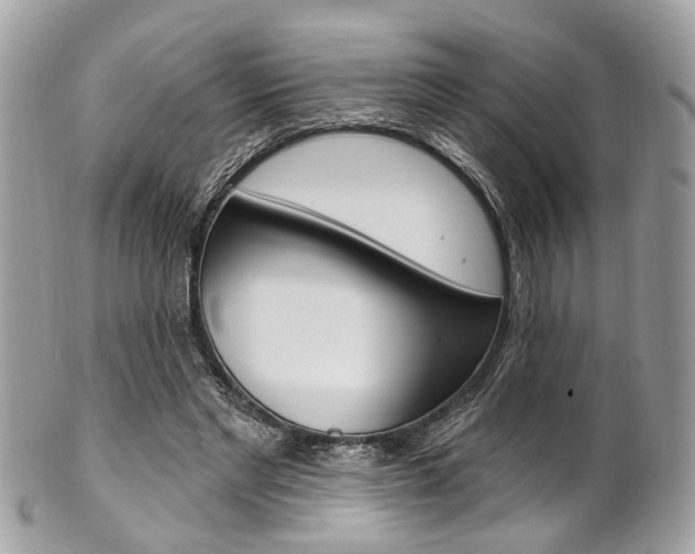 X0000101420493200807071034