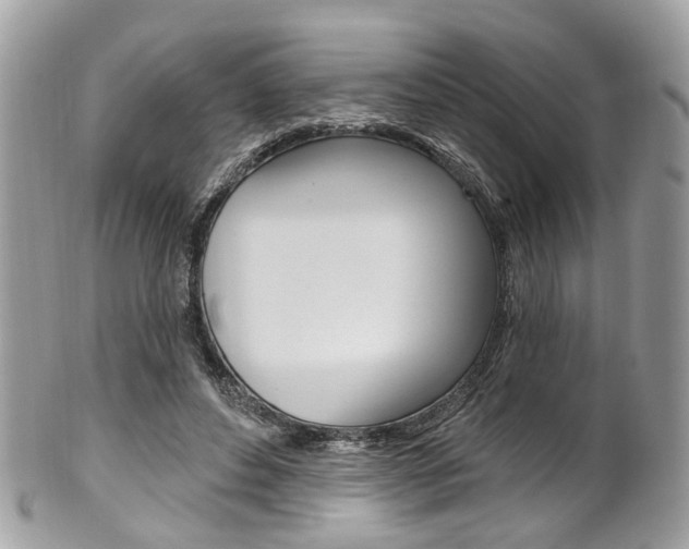 X0000101420496200807071034