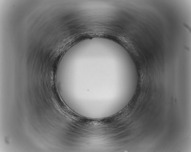 X0000101420498200807071034