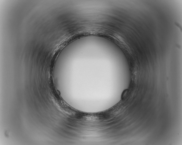 X0000101420500200807071034