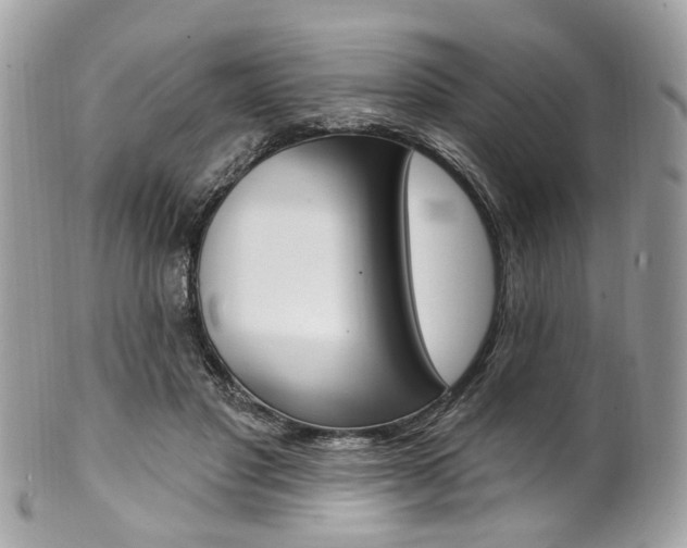 X0000101420501200807071034