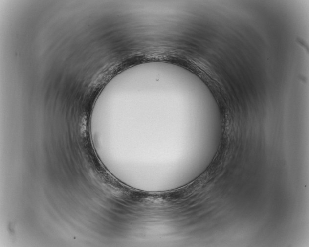 X0000101420502200807071034