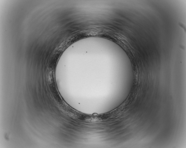 X0000101420503200807071034