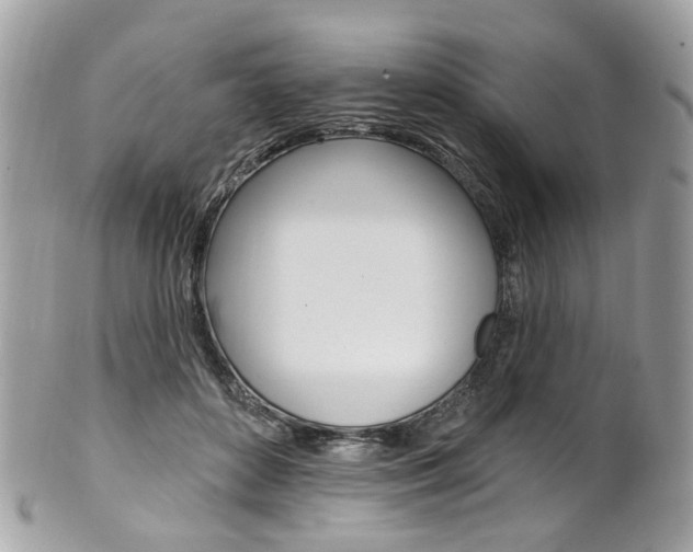 X0000101420504200807071034
