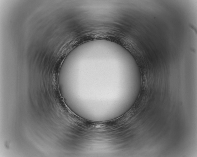 X0000101420506200807071034