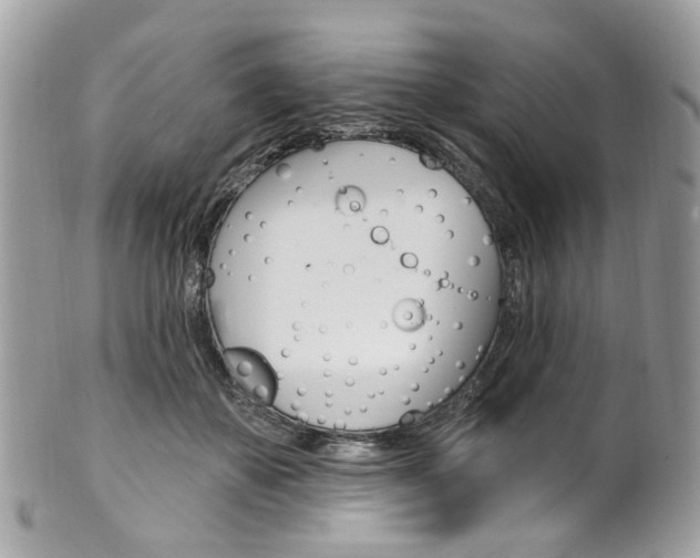 X0000101420507200807071034