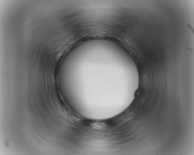 X0000101420508200807071034