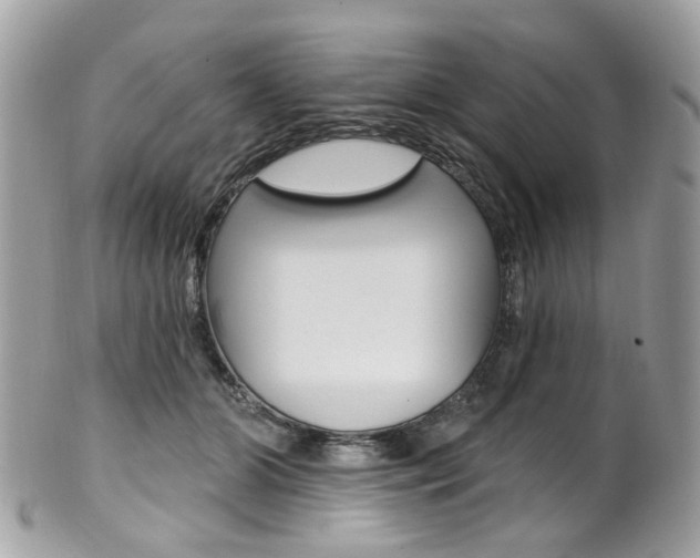X0000101420510200807071034