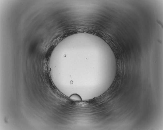 X0000101420511200807071034