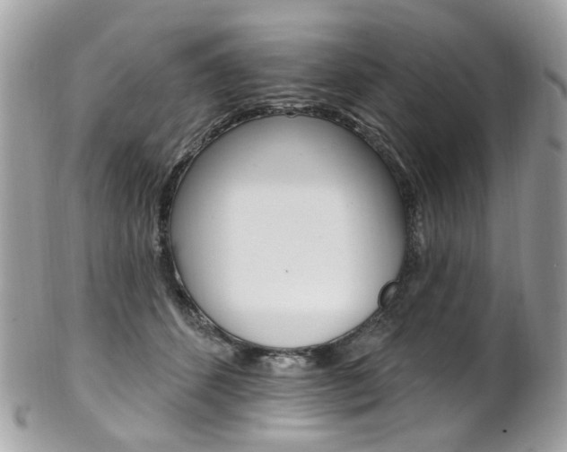 X0000101420512200807071034