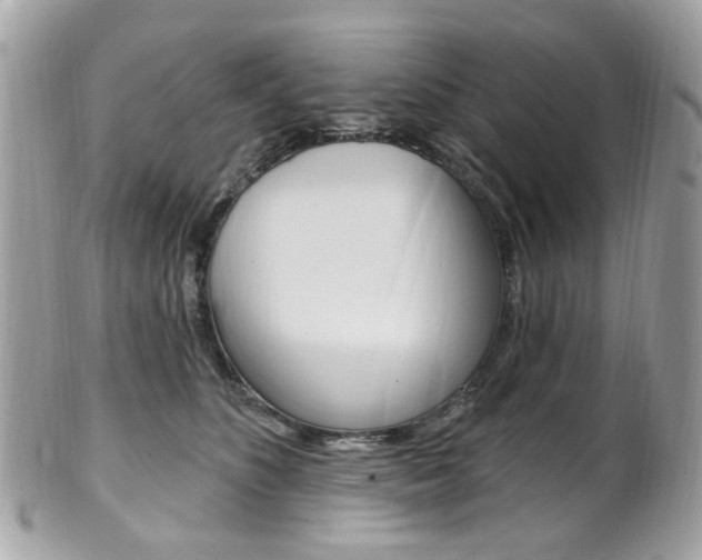 X0000101420516200807071034