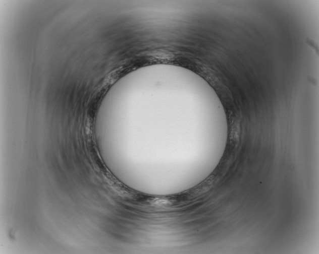X0000101420518200807071034