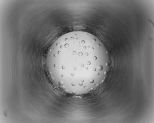 X0000101420519200807071034
