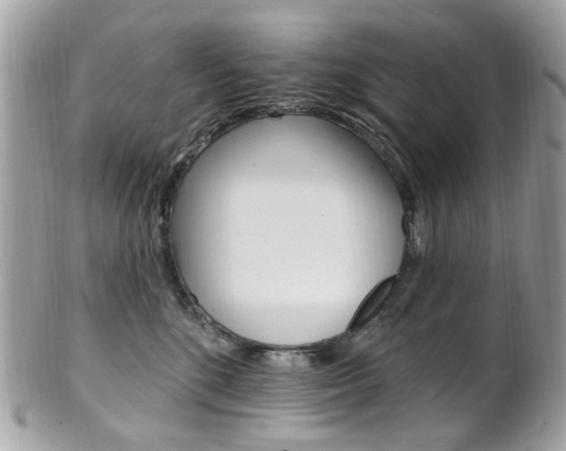 X0000101420520200807071034