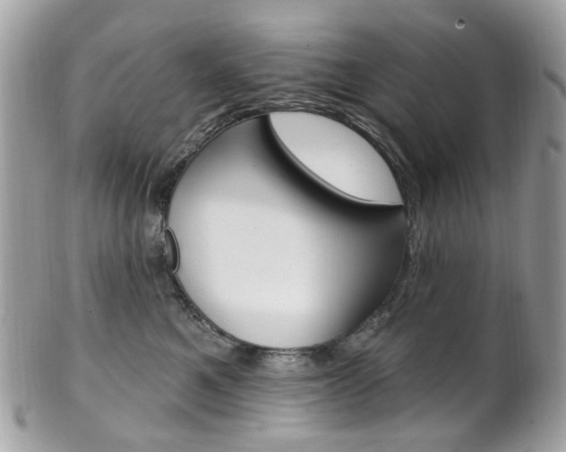 X0000101420521200807071034