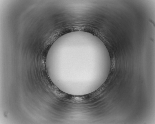 X0000101420522200807071034