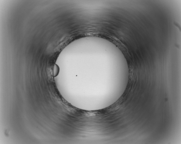 X0000101420523200807071034