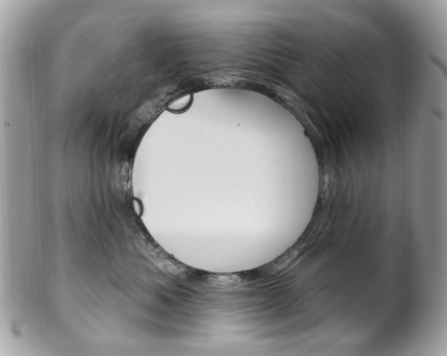 X0000101420525200807071034
