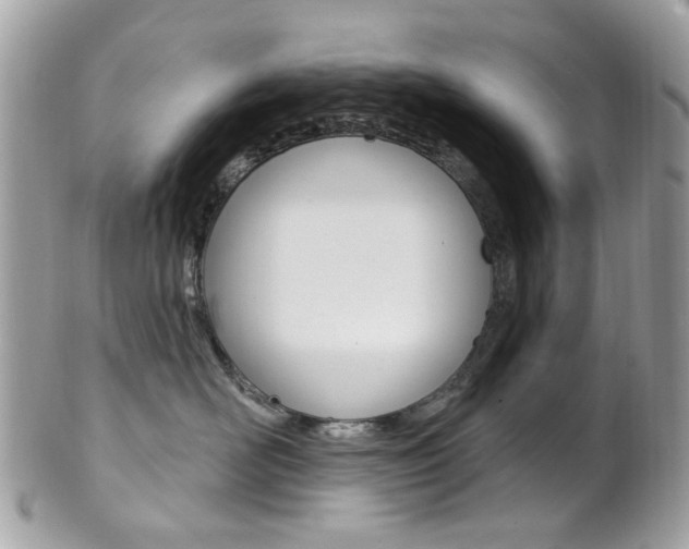 X0000101420526200807071034