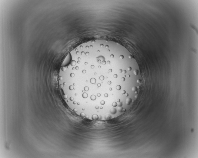 X0000101420527200807071034