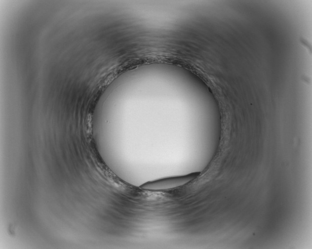 X0000101420528200807071034