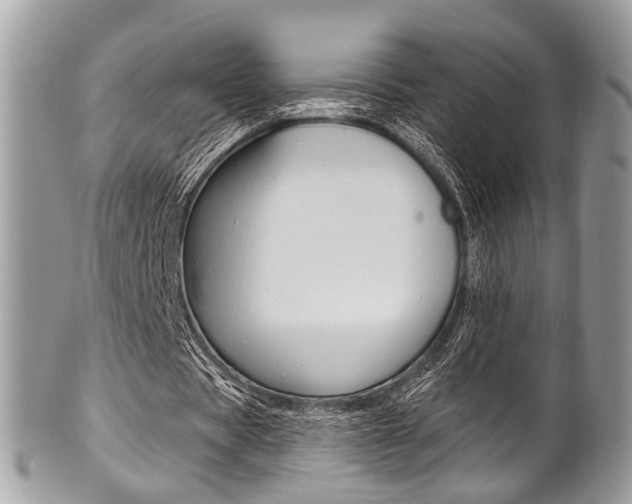 X0000101420529200807071033
