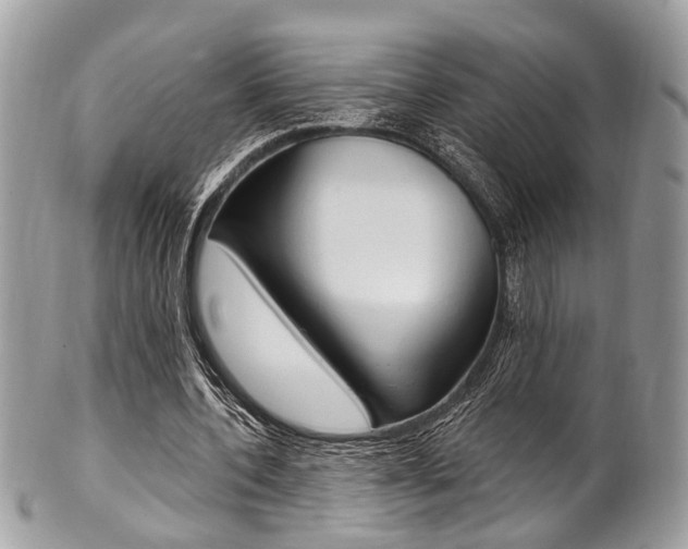 X0000101420532200807071033
