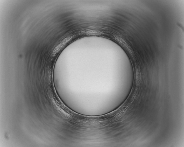 X0000101420533200807071033