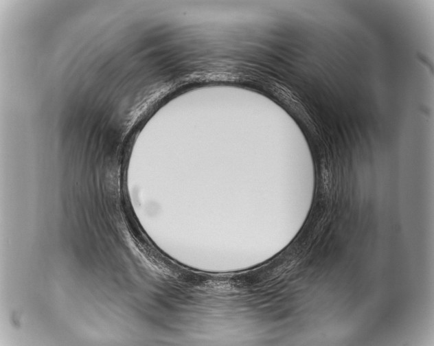 X0000101420534200807071033