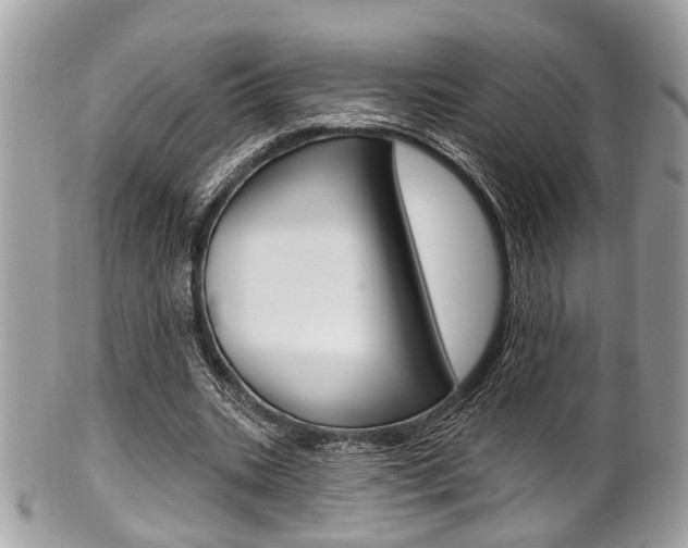 X0000101420535200807071033
