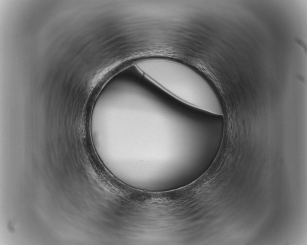 X0000101420536200807071033