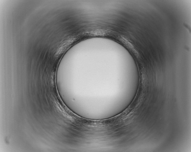 X0000101420537200807071033