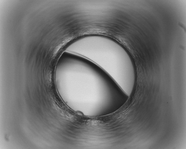 X0000101420539200807071033