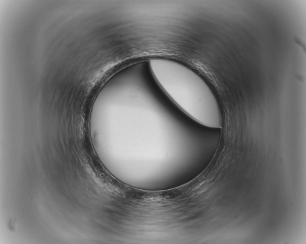 X0000101420540200807071033