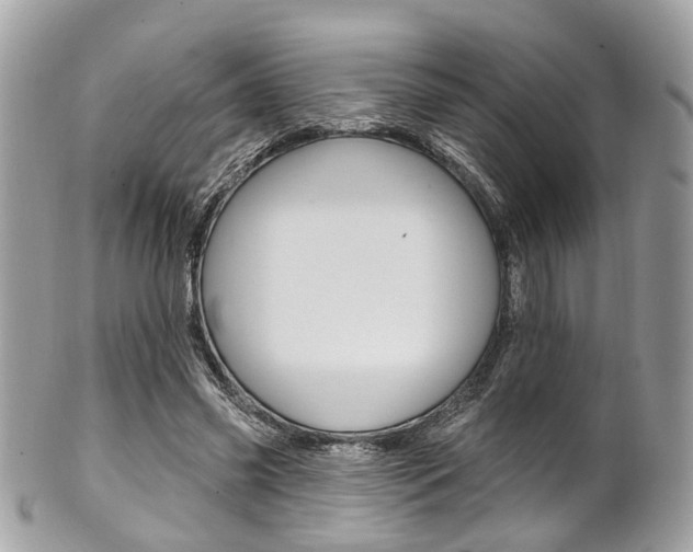 X0000101420541200807071033