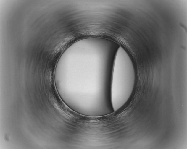 X0000101420542200807071033