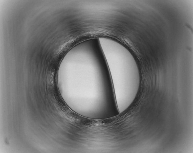 X0000101420543200807071033