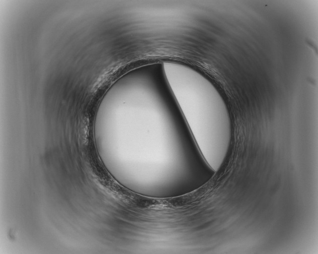 X0000101420544200807071033