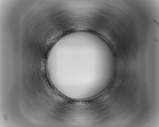 X0000101420545200807071033