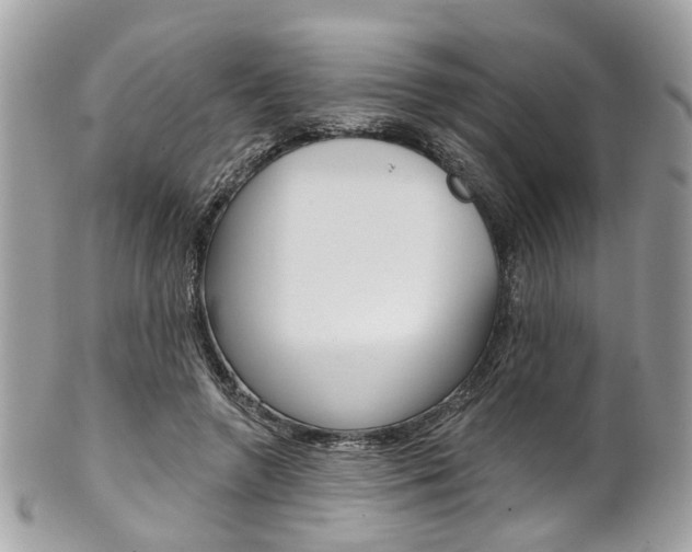 X0000101420546200807071033