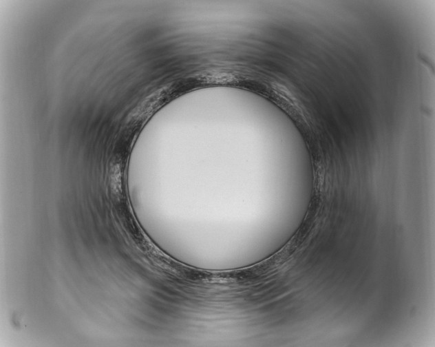 X0000101420549200807071033