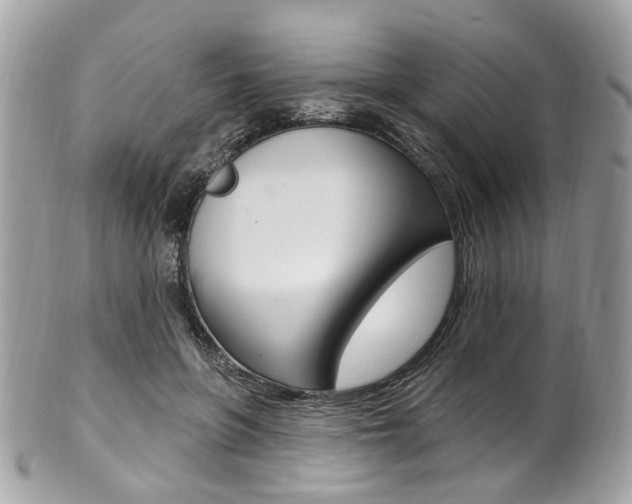 X0000101420551200807071034