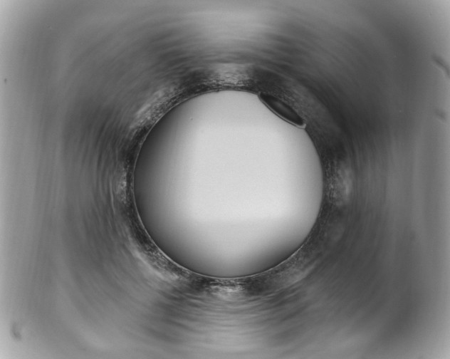 X0000101420552200807071034